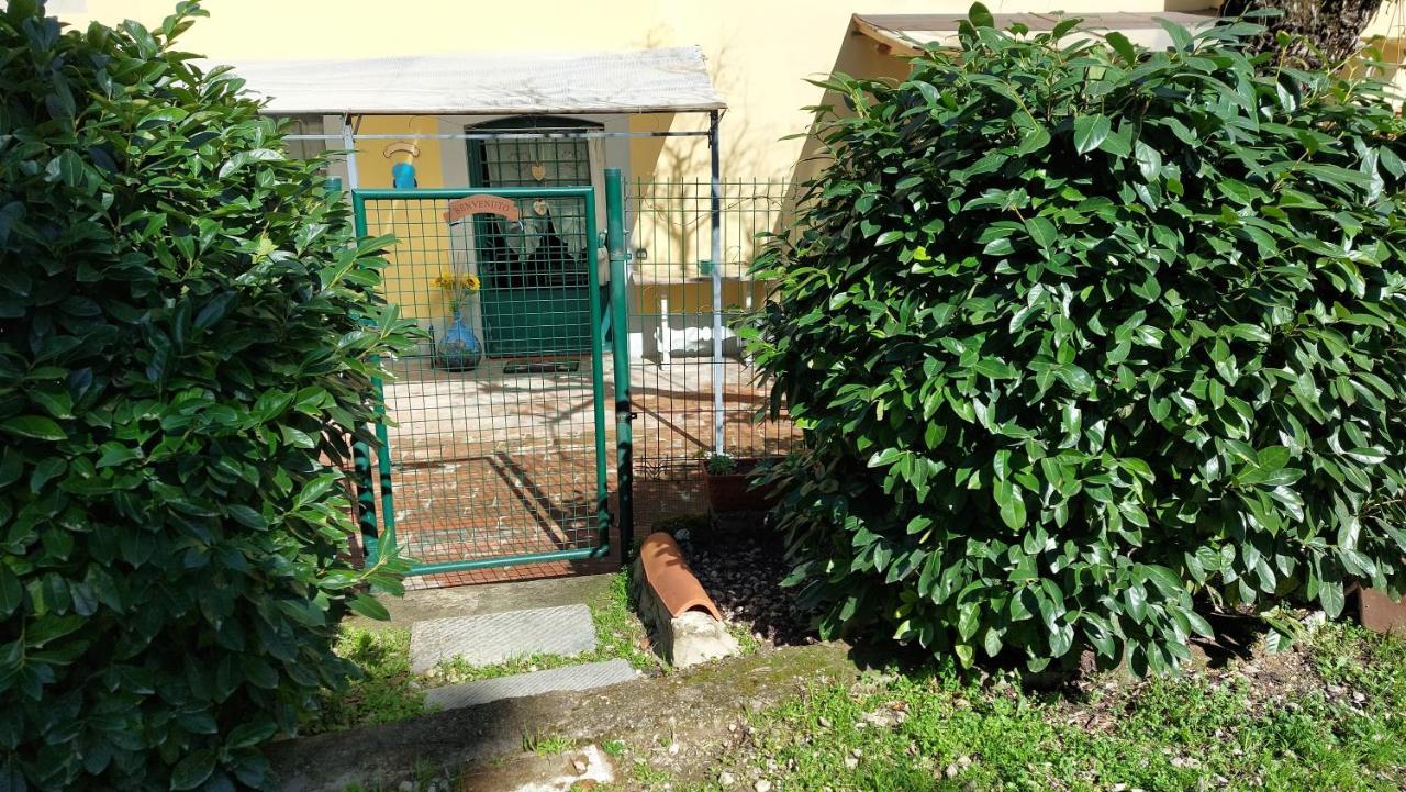 La Piccola Oasi Con Parcheggio Διαμέρισμα Φλωρεντία Εξωτερικό φωτογραφία